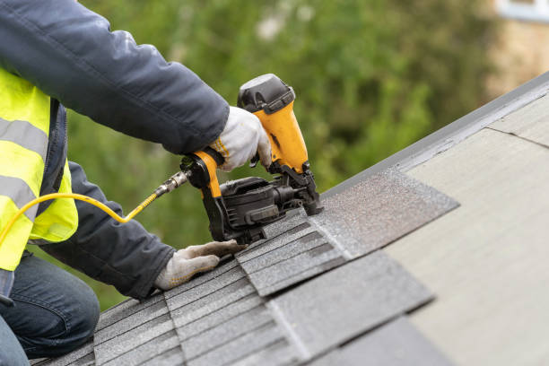 Best Asphalt Shingle Roofing  in Newark, IL